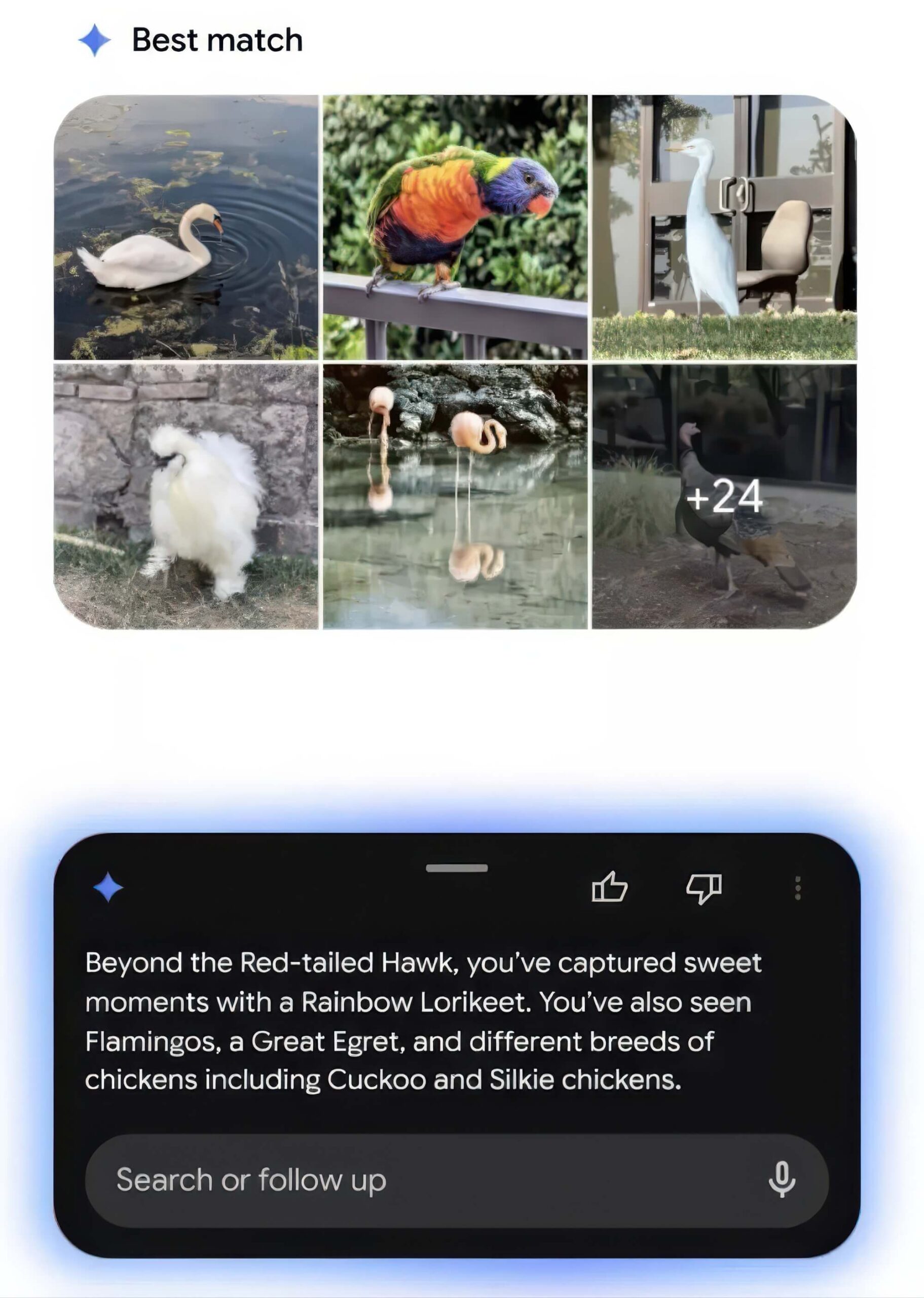 Google Photos Tích Hợp Nano Banana Ai Chỉnh Sửa ảnh đối Thoại 01