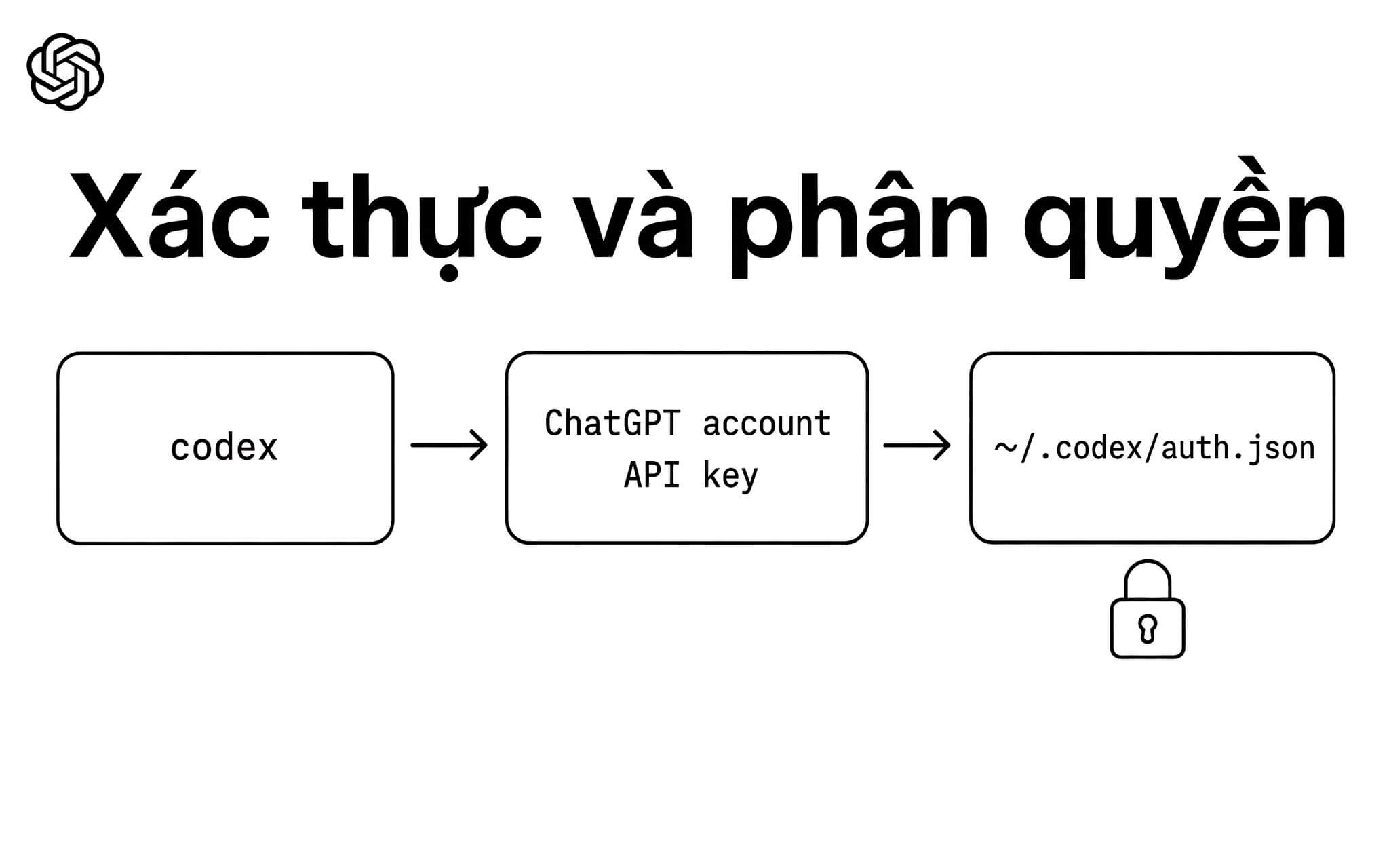 Xác thực tài khoản và phân quyền cho phiên làm việc đầu tiên