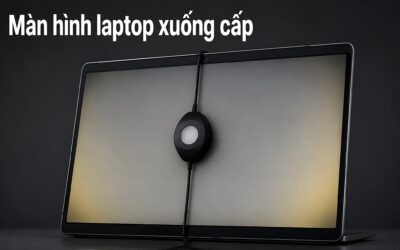 Màn hình laptop xuống cấp: Đừng vội cân màu khi tấm nền đã ‘chết mòn’ vì tuổi thọ LED